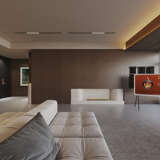 江南春王总 （二）