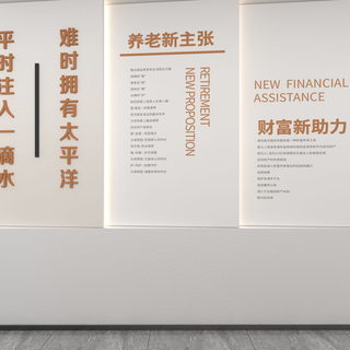 邢台中心支公司方案二