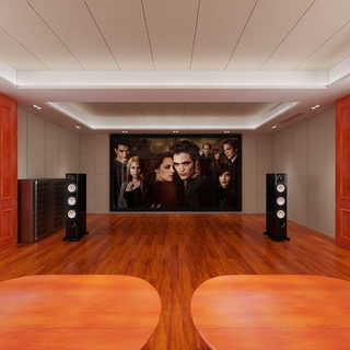 义乌赵龙集团听音室