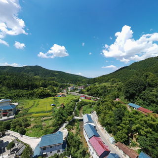杨村