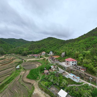 晏田